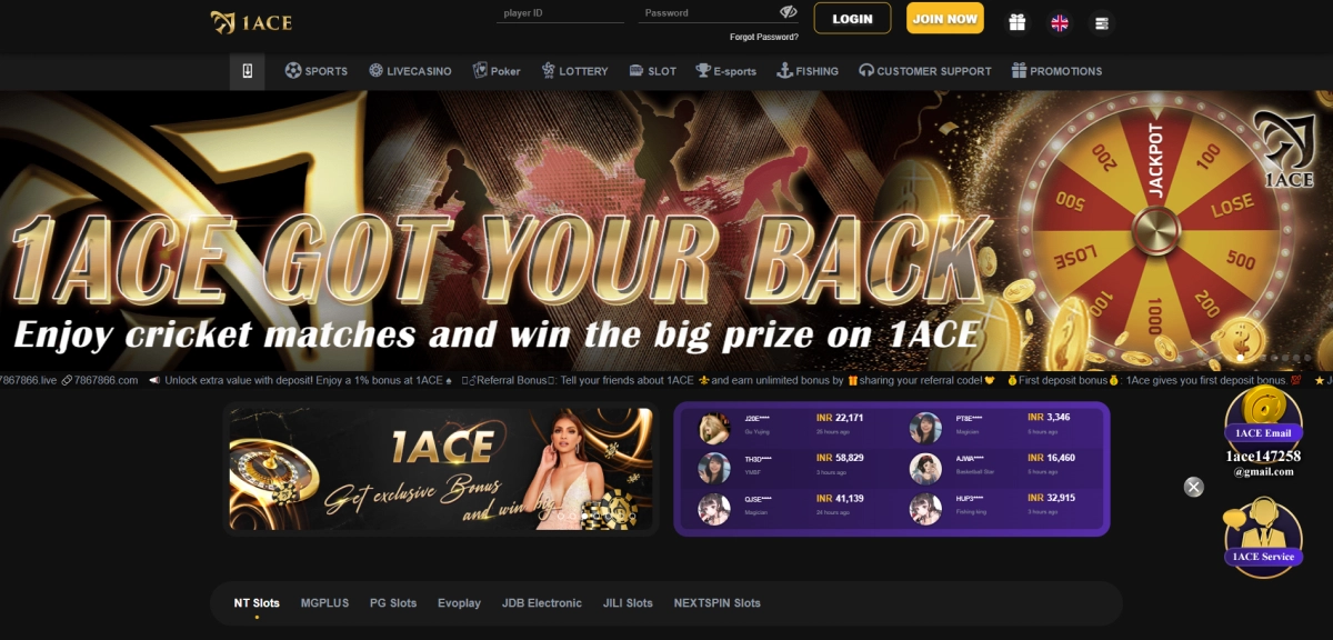 1ACE home